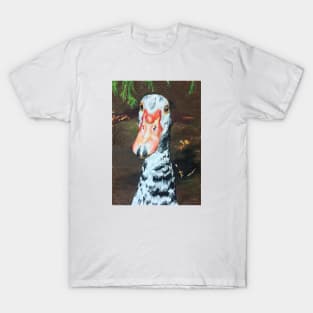 Basil the Muscovy Duck T-Shirt